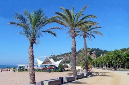 Apartmán Encantador Estudio Calella Exteriér fotografie